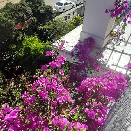 Blanca Rosa Valparaiso B&B Extérieur photo