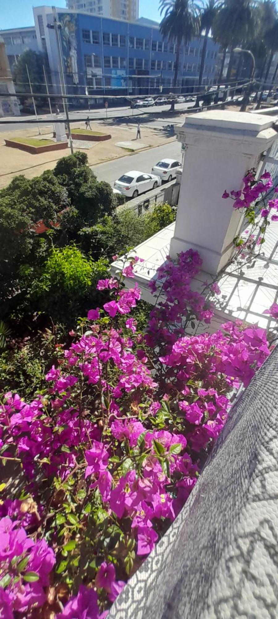 Blanca Rosa Valparaiso B&B Extérieur photo
